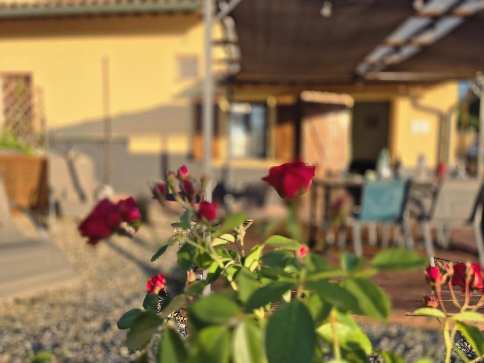 ポッジボンシ Casa Ornetoヴィラ エクステリア 写真